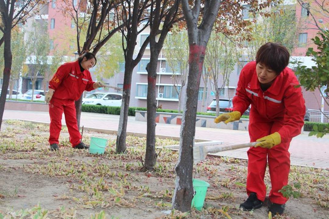 绿化养护苗木涂白